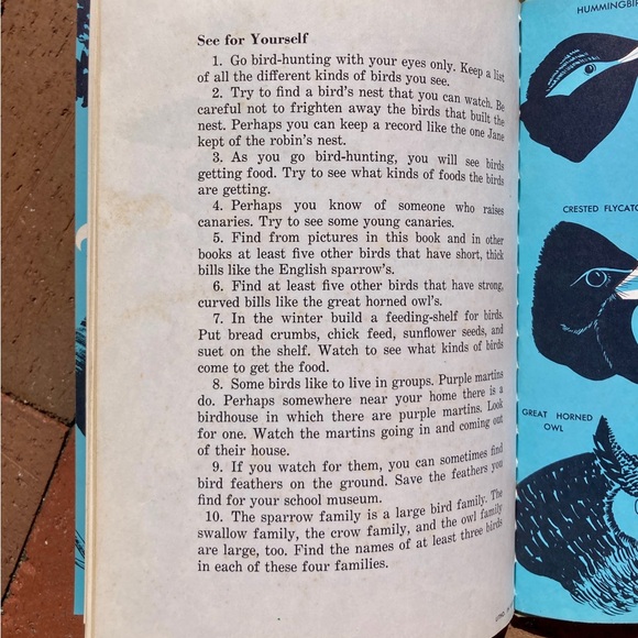 1958 Birds Cardinal Illustrated Picture Book Animal Bird Spring Toucan Animals - Picture 3 of 13